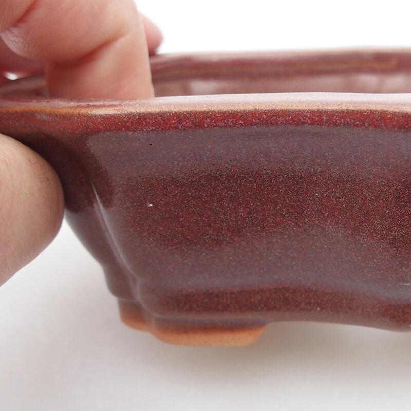 Ciotola bonsai in ceramica 14 x 10 x 4 cm, rosa