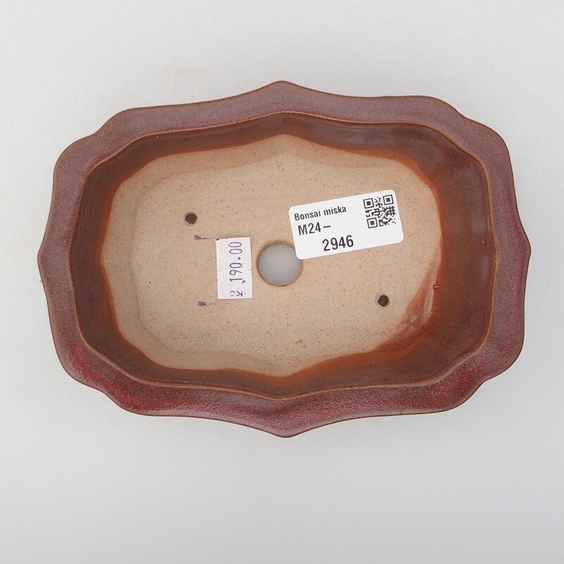 Ciotola bonsai in ceramica 14 x 10 x 4 cm, rosa