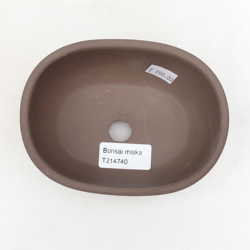 Ciotola per bonsai in ceramica 14 x 10 x 6 cm, colore nero