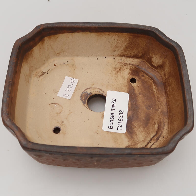 Ciotola per bonsai in ceramica 14 x 11,5 x 4,5 cm, marrone