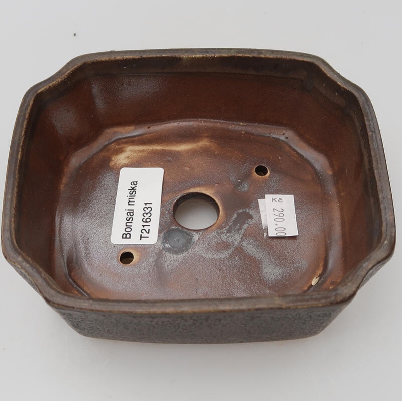Ciotola per bonsai in ceramica 14 x 11,5 x 4,5 cm, marrone