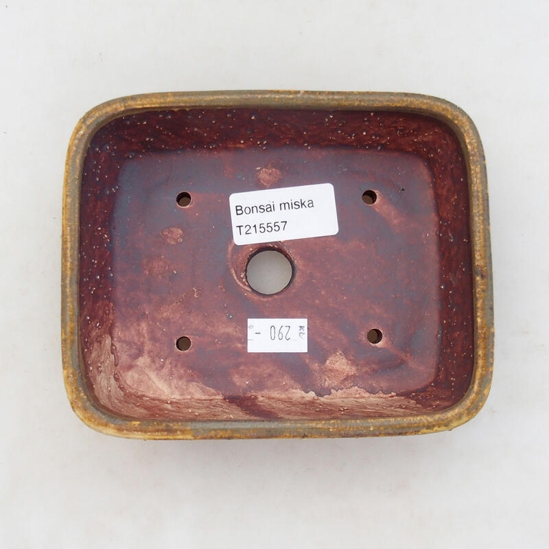 Ciotola per bonsai in ceramica 14 x 11 x 4 cm, marrone