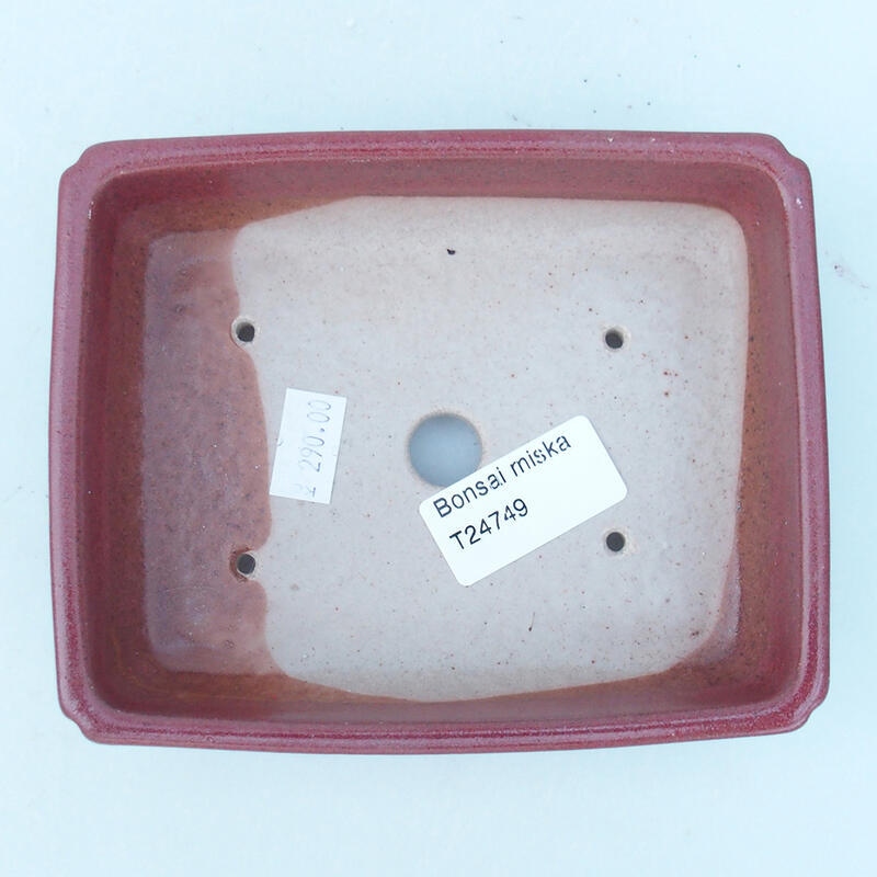 Ciotola bonsai in ceramica 14 x 11 x 4 cm, rosa