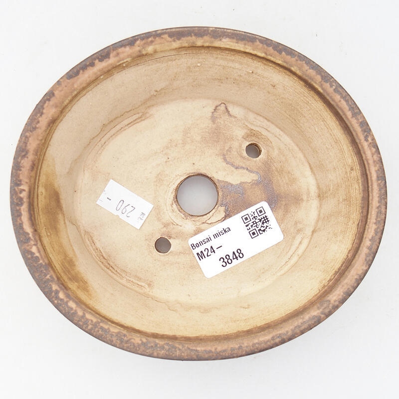 Ciotola bonsai in ceramica 14 x 12,5 x 4 cm, rosa