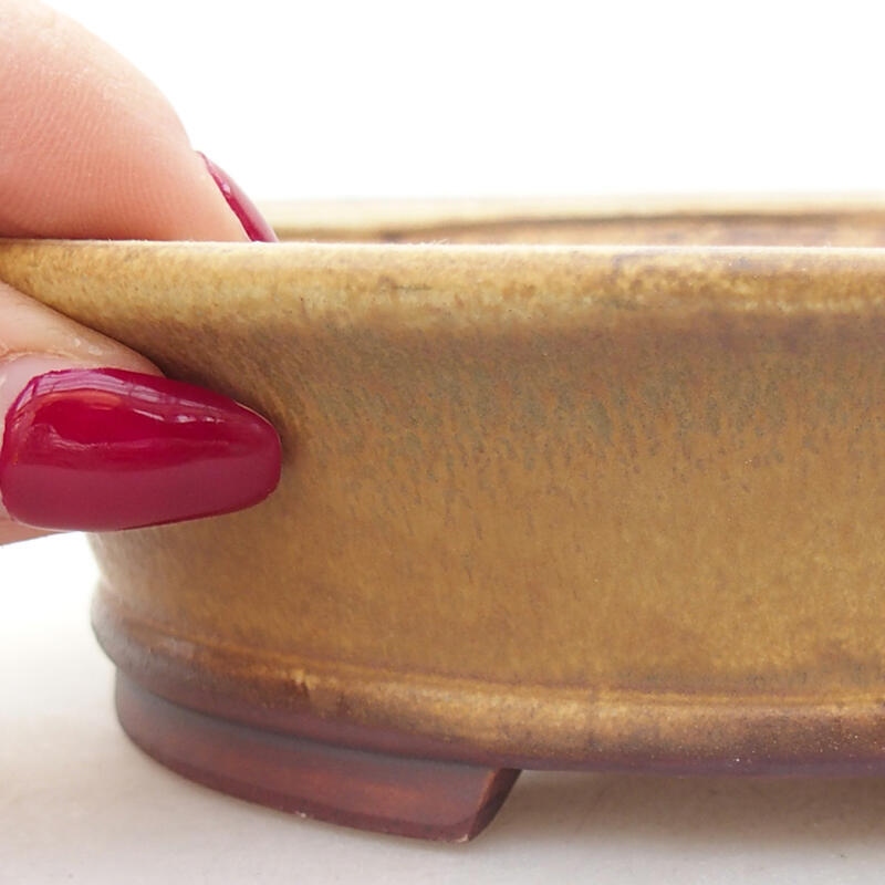 Ciotola per bonsai in ceramica 14 x 12,5 x 4 cm, verde