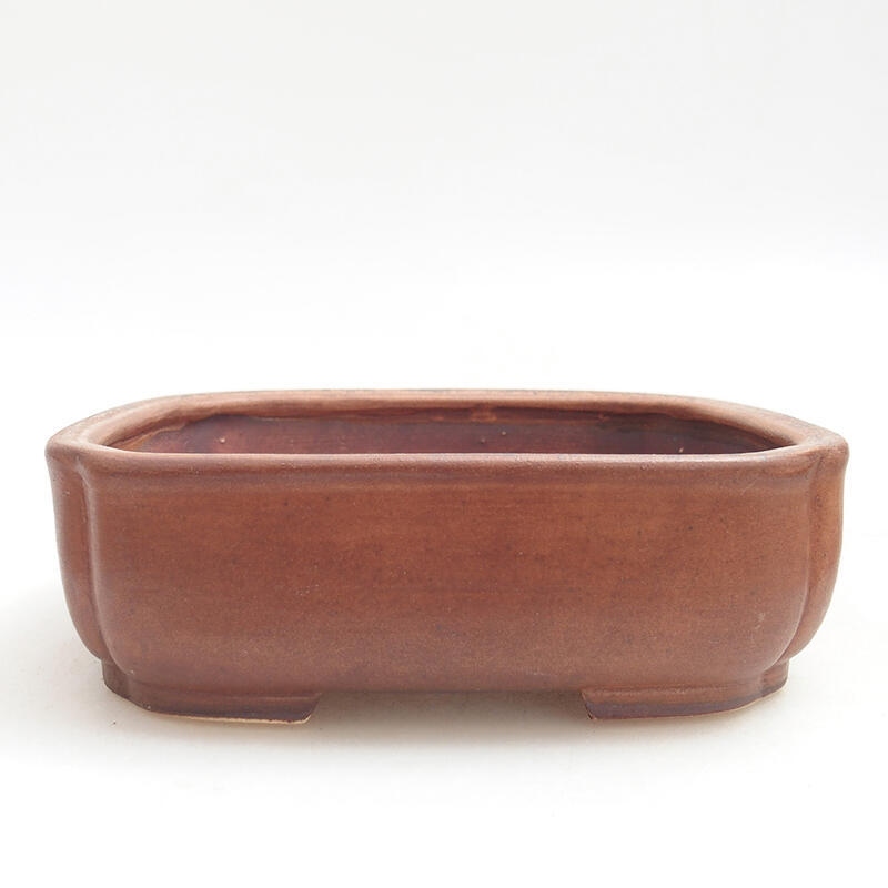 Ciotola per bonsai in ceramica 14 x 12 x 4 cm, marrone
