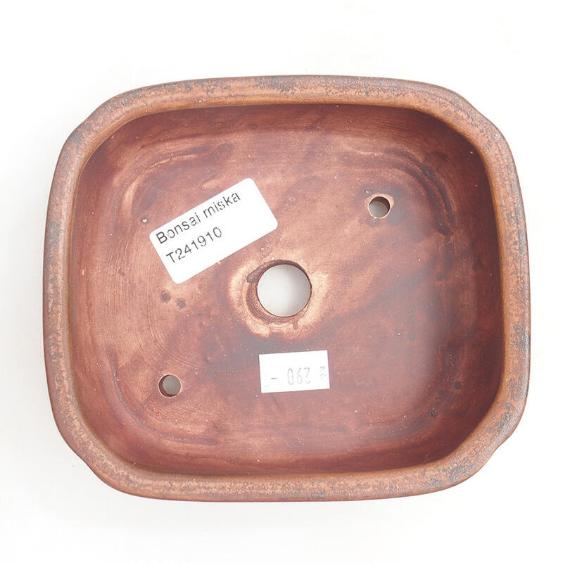 Ciotola per bonsai in ceramica 14 x 12 x 4 cm, marrone