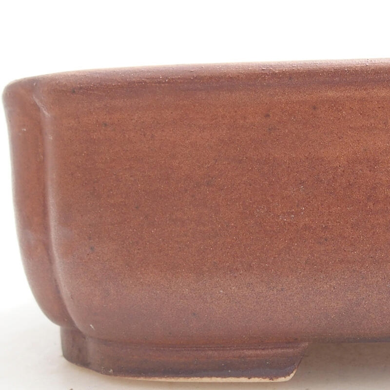 Ciotola per bonsai in ceramica 14 x 12 x 4 cm, marrone