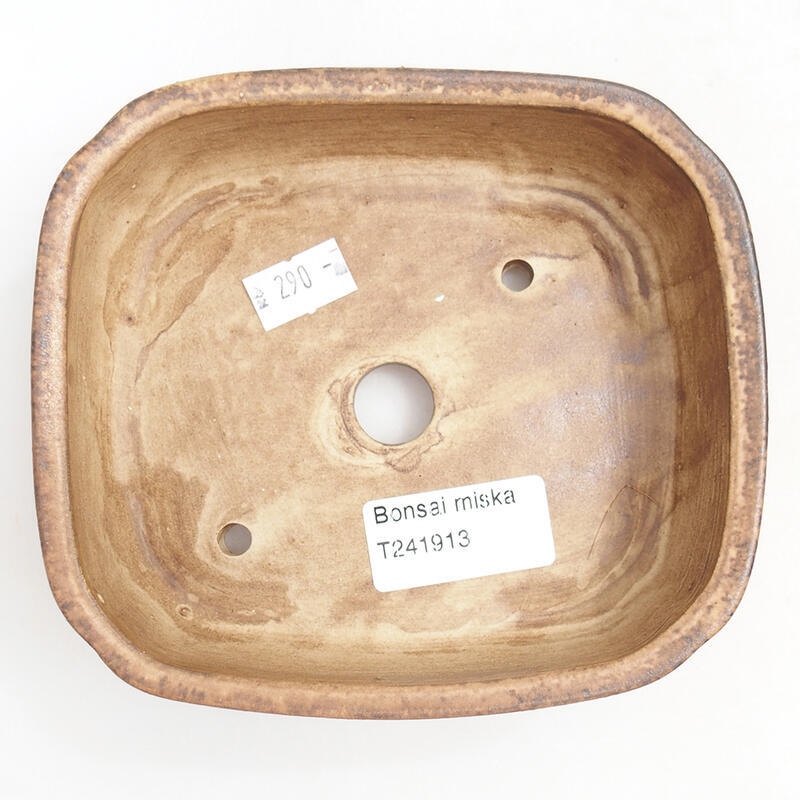 Ciotola bonsai in ceramica 14 x 12 x 4 cm, rosa