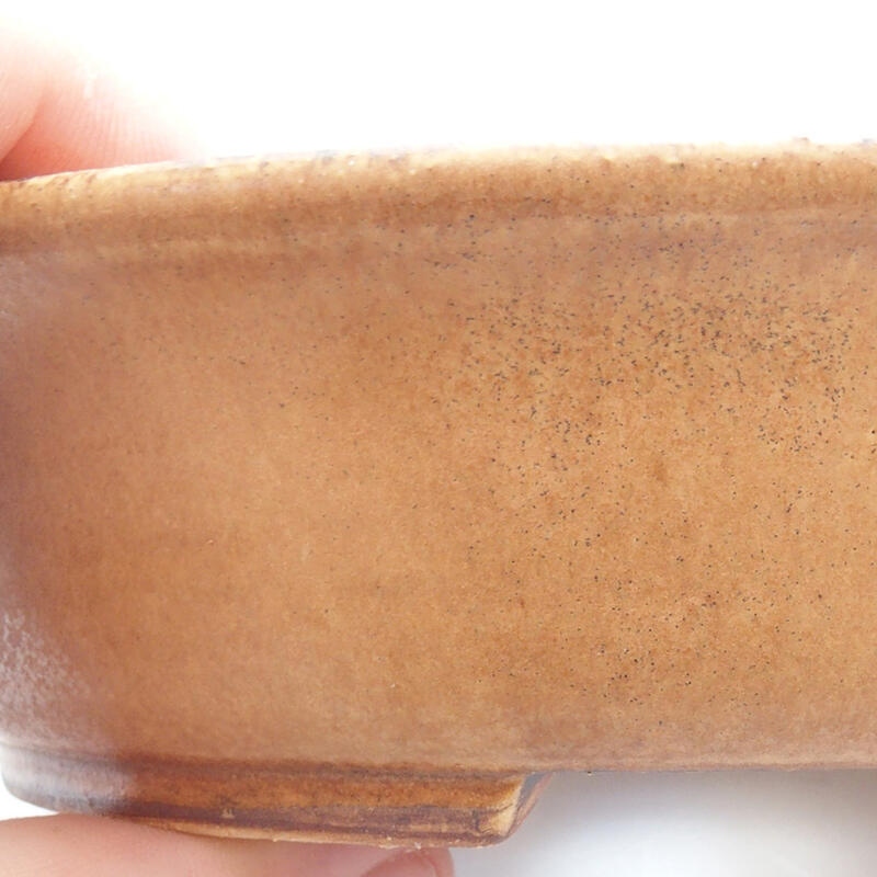 Ciotola bonsai in ceramica 14 x 13 x 4 cm, arancione