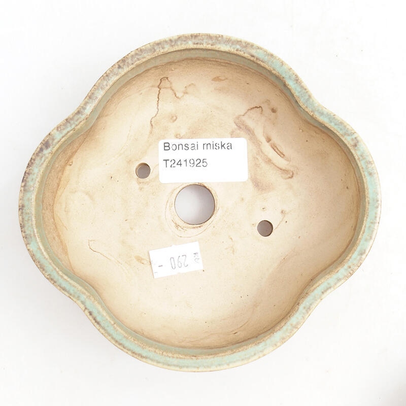 Ciotola bonsai in ceramica 14 x 13 x 5 cm, verde