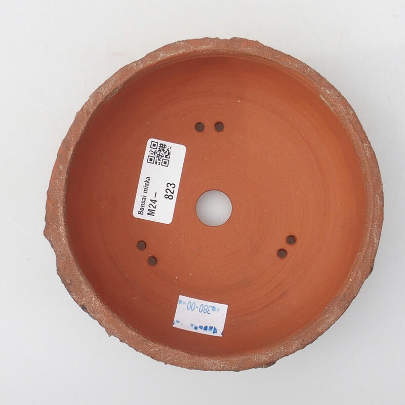 Ciotola per bonsai in ceramica 14 x 14 x 4,5 cm, marrone