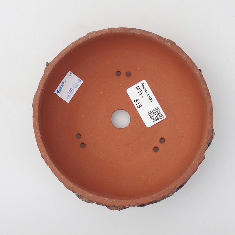 Ciotola per bonsai in ceramica 14 x 14 x 4,5 cm, marrone