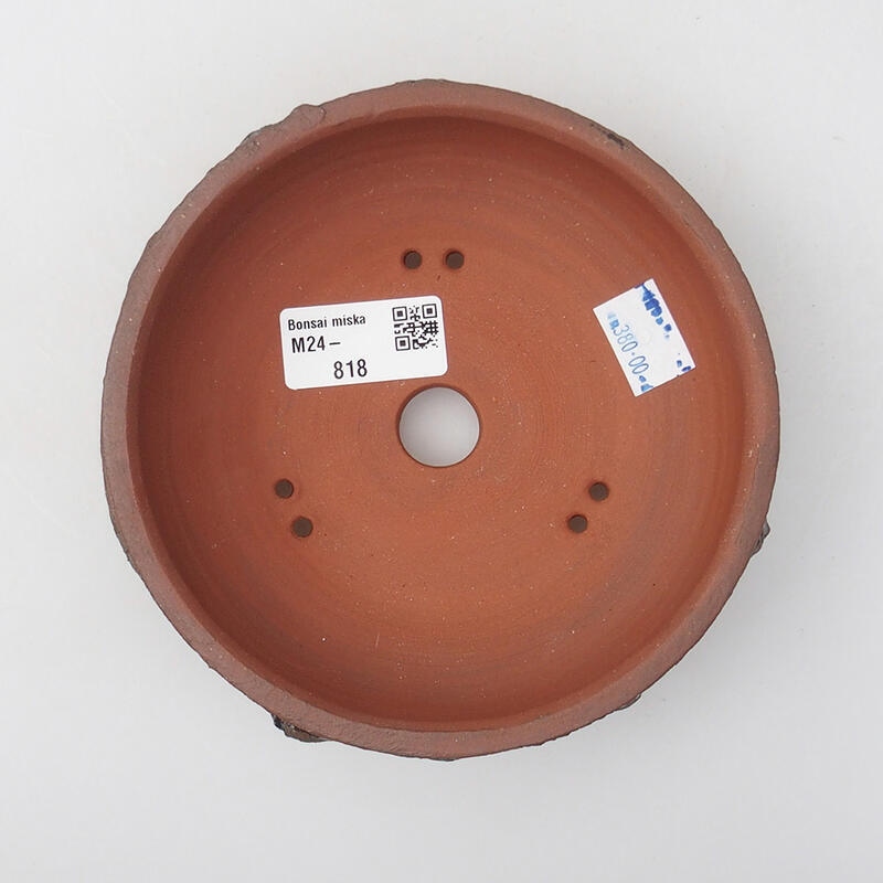 Ciotola bonsai in ceramica 14 x 14 x 4 cm, marrone