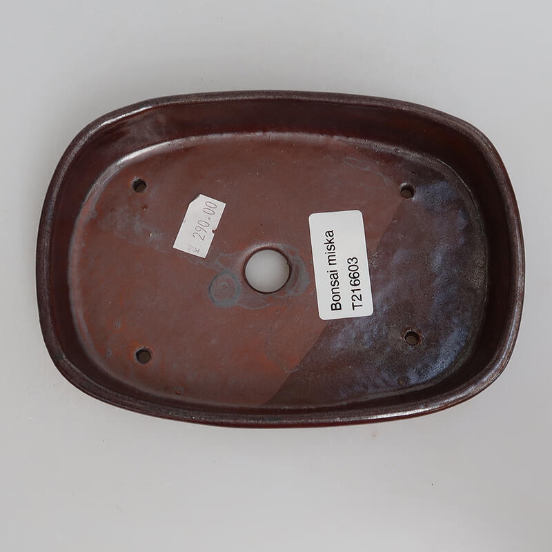 Ciotola per bonsai in ceramica 15,5 x 11 x 3 cm, marrone