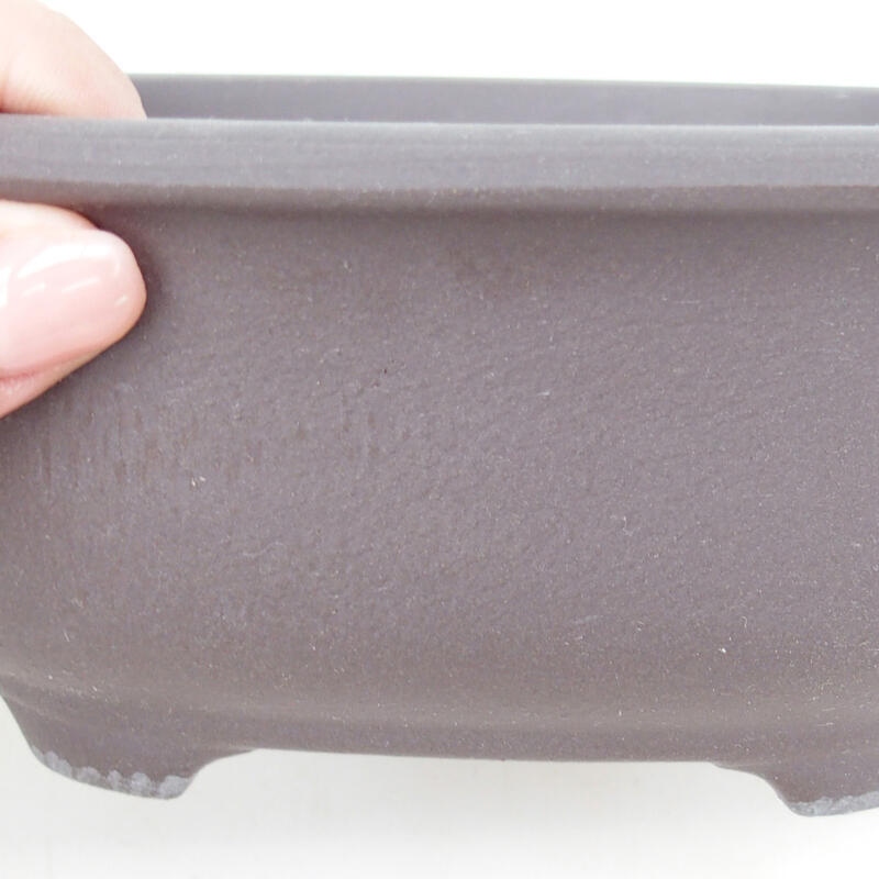 Ciotola per bonsai in ceramica 15,5 x 12,5 x 7 cm, colore nero