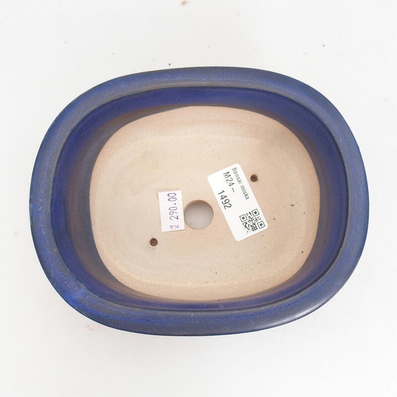 Ciotola per bonsai in ceramica 15,5 x 12 x 6 cm, colore blu