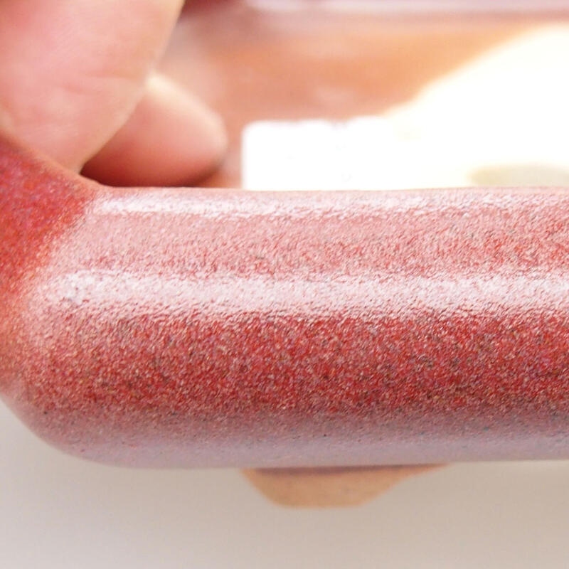 Ciotola per bonsai in ceramica 15,5 x 14 x 3,5 cm, colore rosso