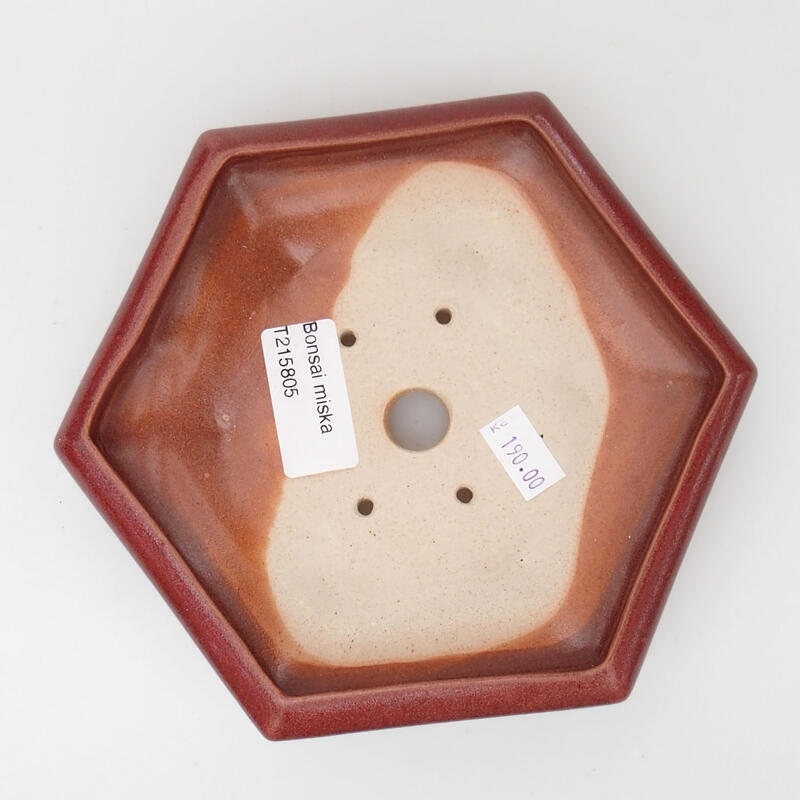 Ciotola per bonsai in ceramica 15,5 x 14 x 3,5 cm, colore rosso