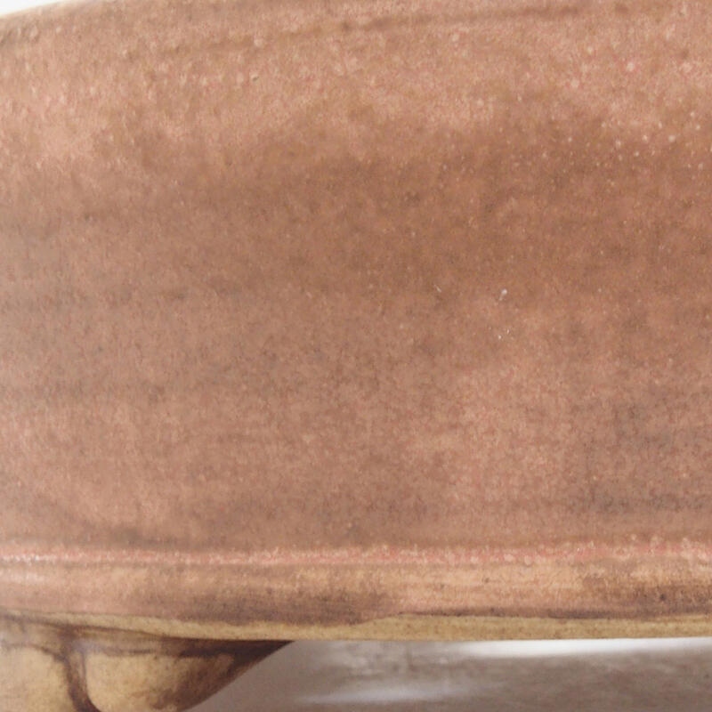 Ciotola per bonsai in ceramica 15,5 x 15,5 x 5 cm, rosa