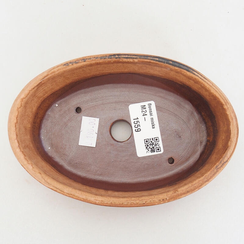 Ciotola bonsai in ceramica 15 x 10 x 4,5 cm, rosa