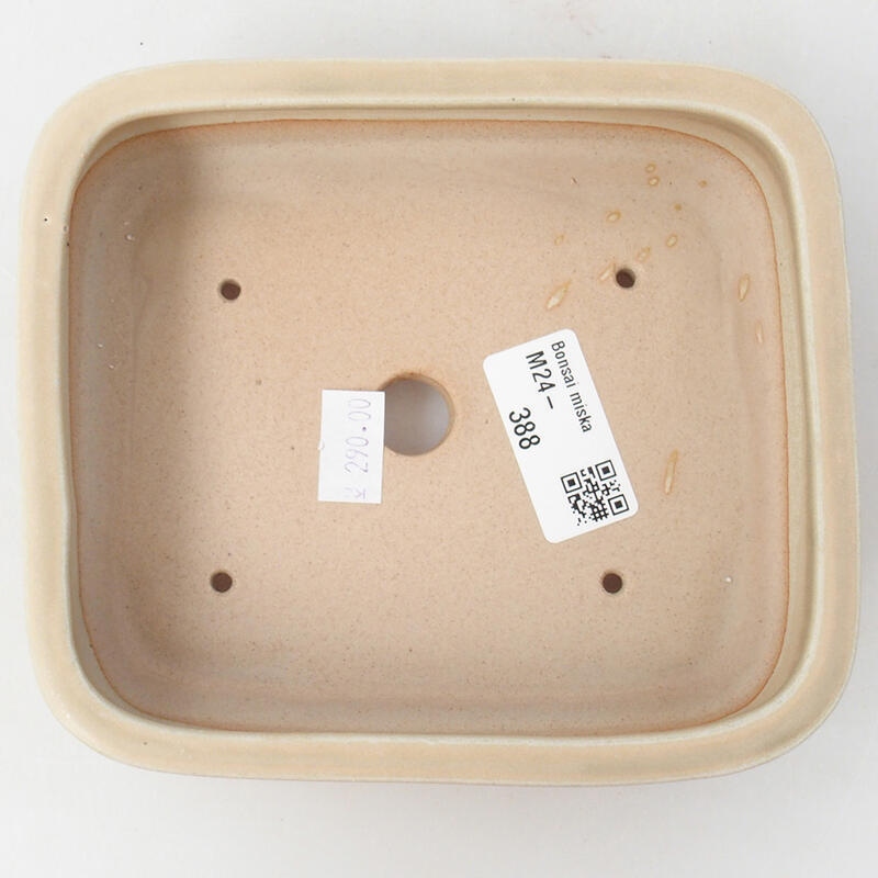 Ciotola per bonsai in ceramica 15 x 12,5 x 4,5 cm, colore beige