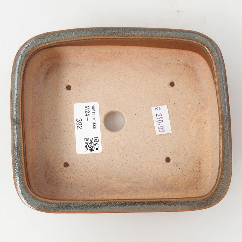 Ciotola per bonsai in ceramica 15 x 12,5 x 4,5 cm, marrone