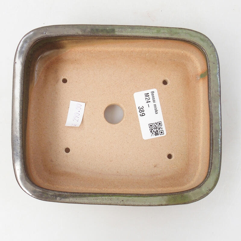 Ciotola per bonsai in ceramica 15 x 12,5 x 4,5 cm, verde