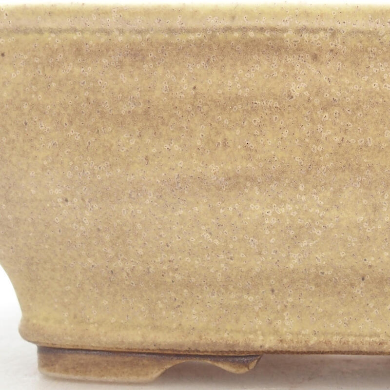 Ciotola bonsai in ceramica 15 x 12,5 x 5,5 cm, verde