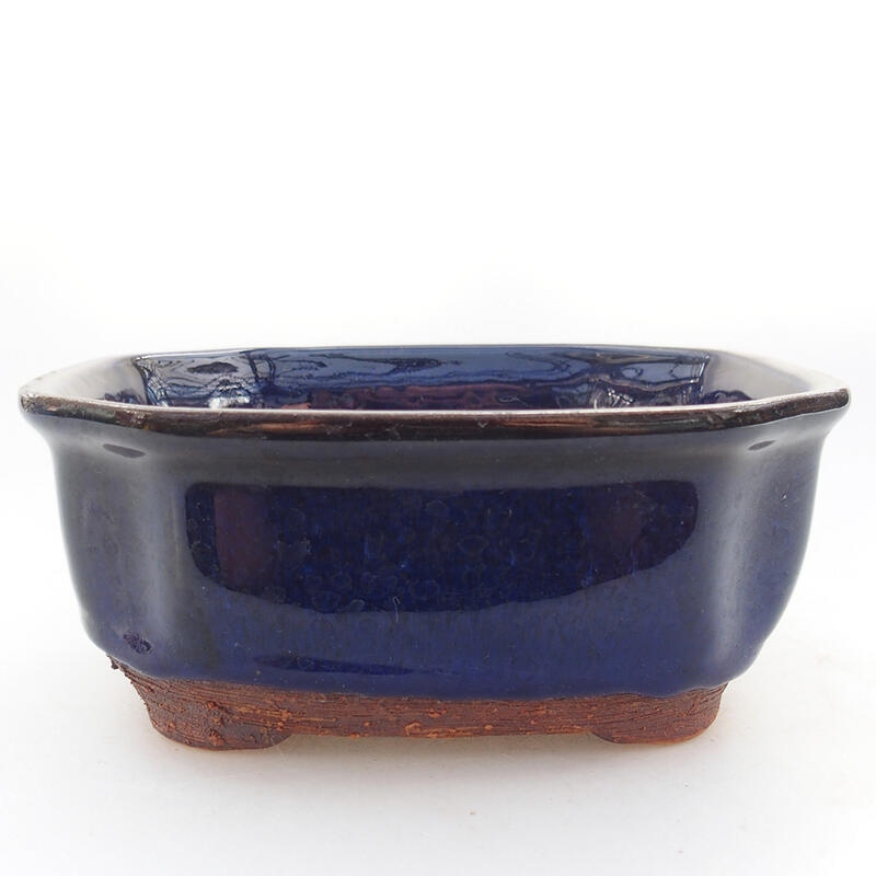 Ciotola per bonsai in ceramica 15 x 12,5 x 6,5 cm, colore blu