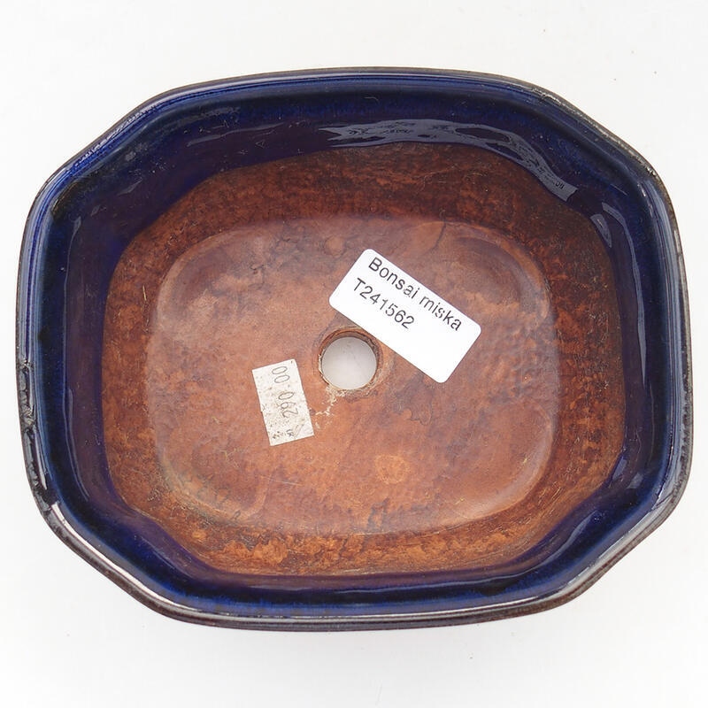 Ciotola per bonsai in ceramica 15 x 12,5 x 6,5 cm, colore blu