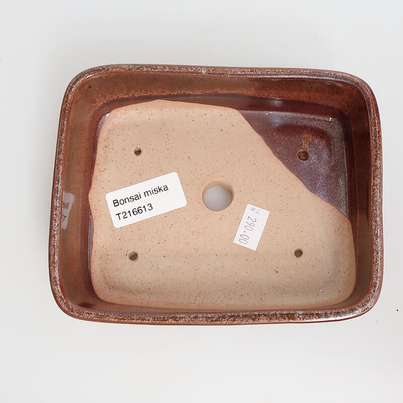 Ciotola per bonsai in ceramica 15 x 12 x 4,5 cm, marrone