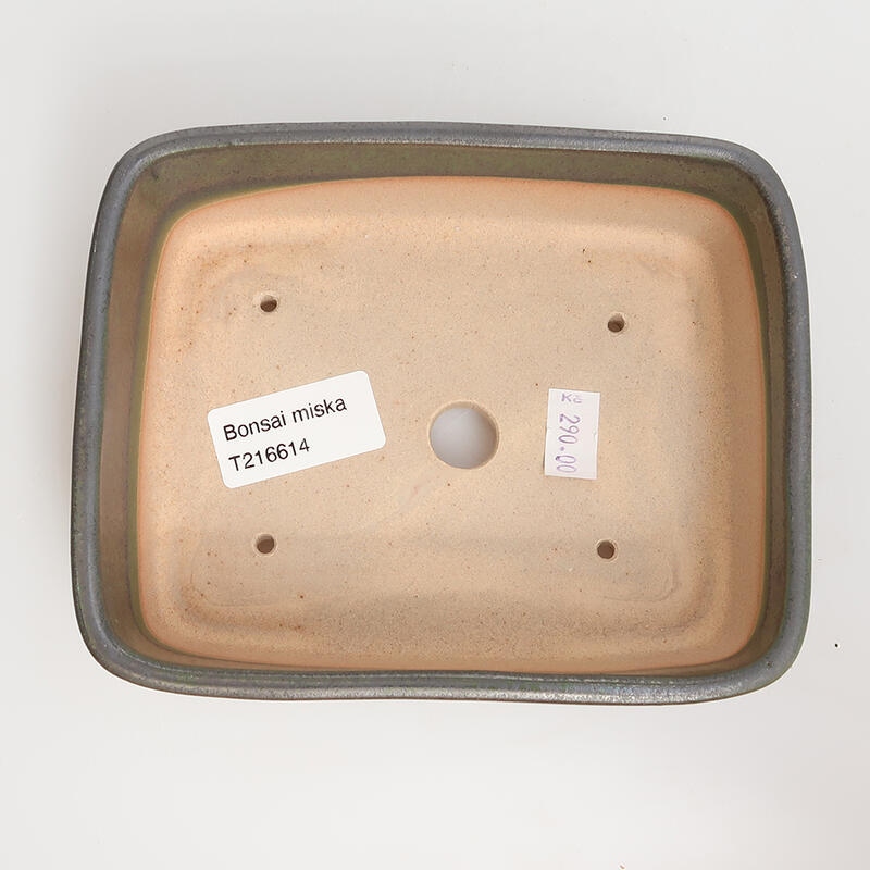 Ciotola bonsai in ceramica 15 x 12 x 4,5 cm, verde