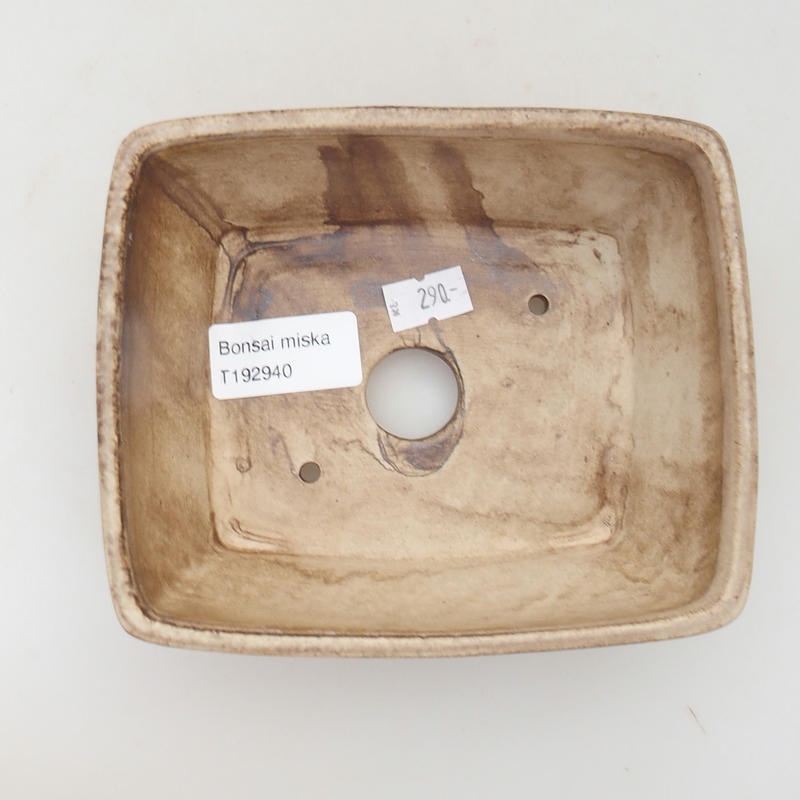 Ciotola per bonsai in ceramica 15 x 12 x 5 cm, beige-marrone
