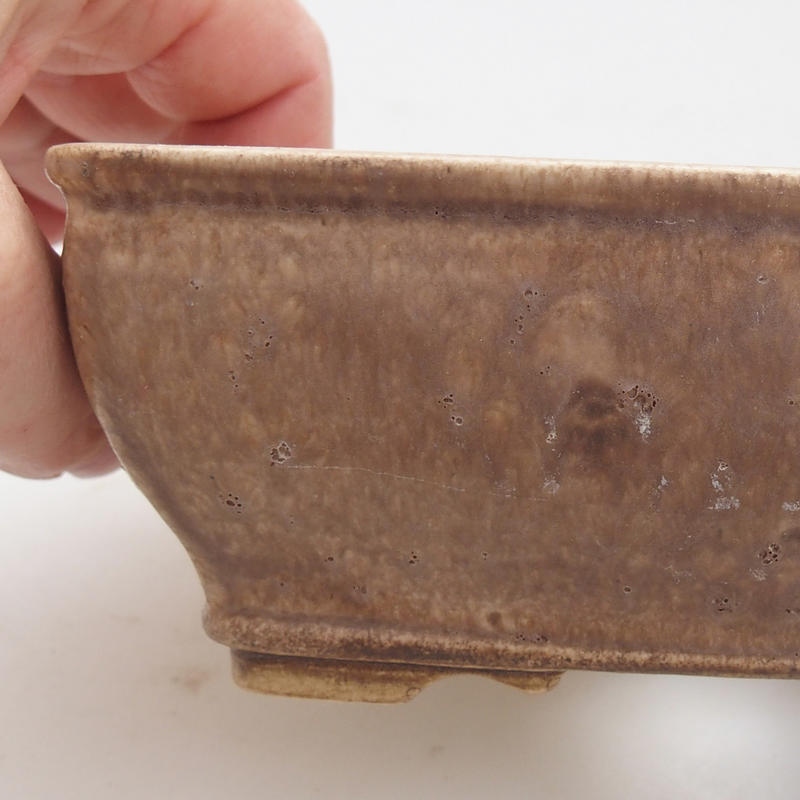 Ciotola per bonsai in ceramica 15 x 12 x 5 cm, beige-marrone