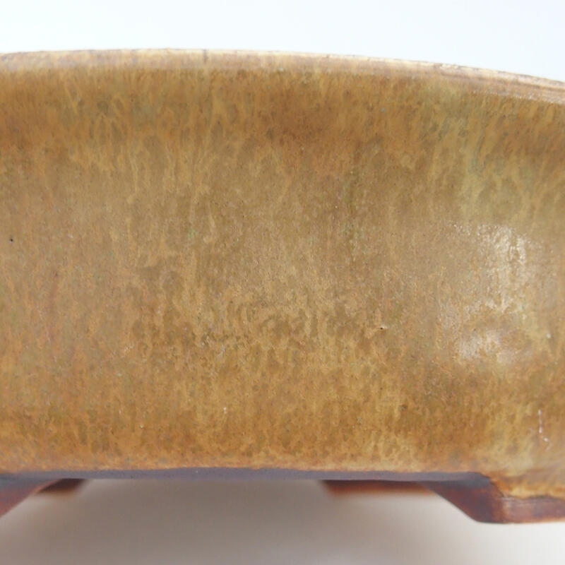 Ciotola per bonsai in ceramica 15 x 14 x 4 cm, marrone