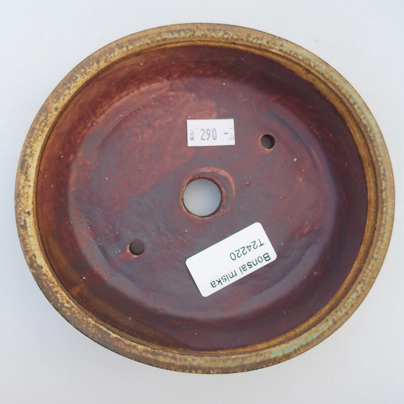 Ciotola per bonsai in ceramica 15 x 14 x 4 cm, marrone