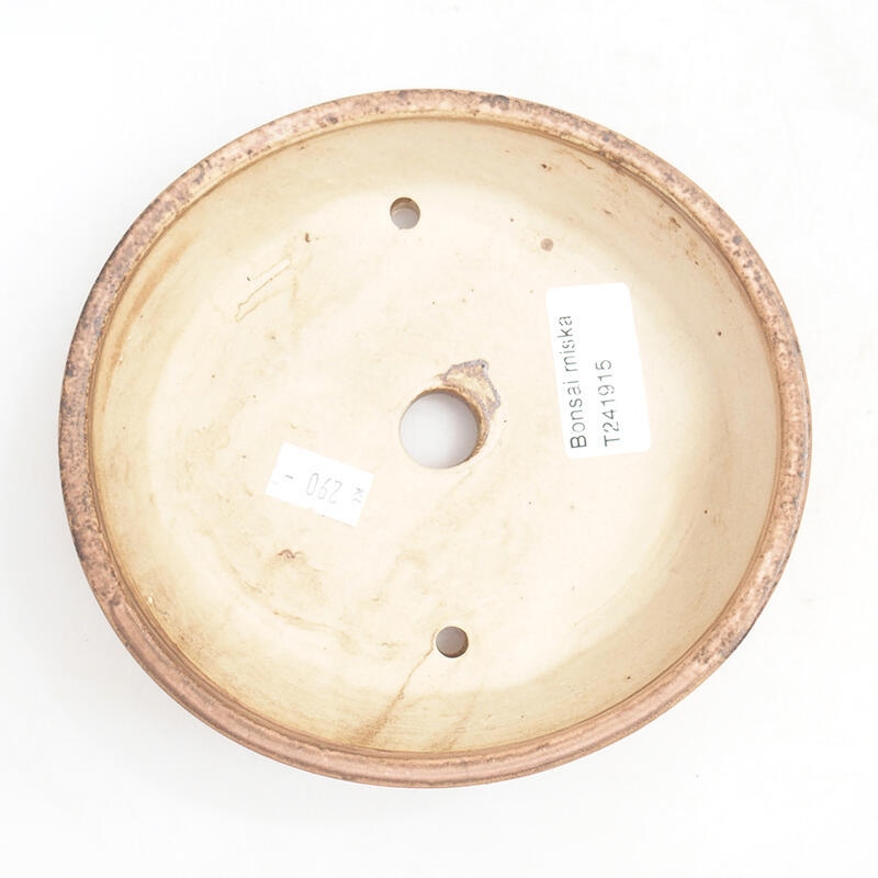 Ciotola bonsai in ceramica 15 x 14 x 4 cm, rosa