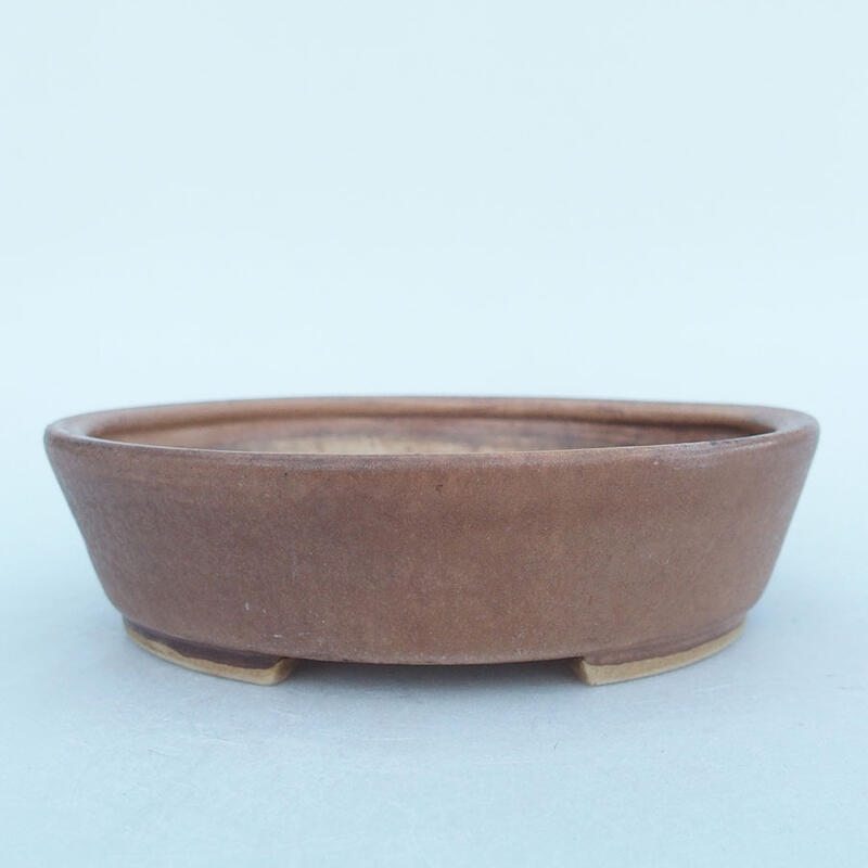 Ciotola bonsai in ceramica 15 x 14 x 4 cm, rosa