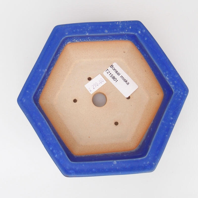 Ciotola bonsai in ceramica 15 x 14 x 5,5 cm, colore blu