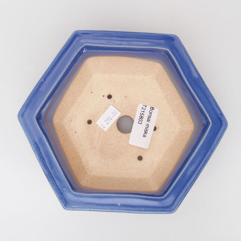 Ciotola bonsai in ceramica 15 x 14 x 5,5 cm, colore blu