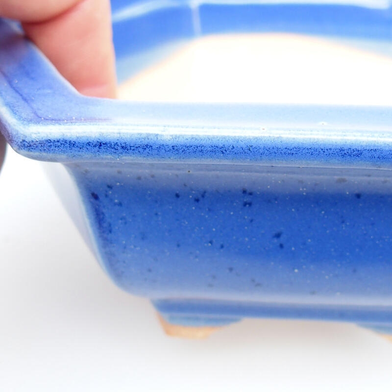 Ciotola bonsai in ceramica 15 x 14 x 5,5 cm, colore blu