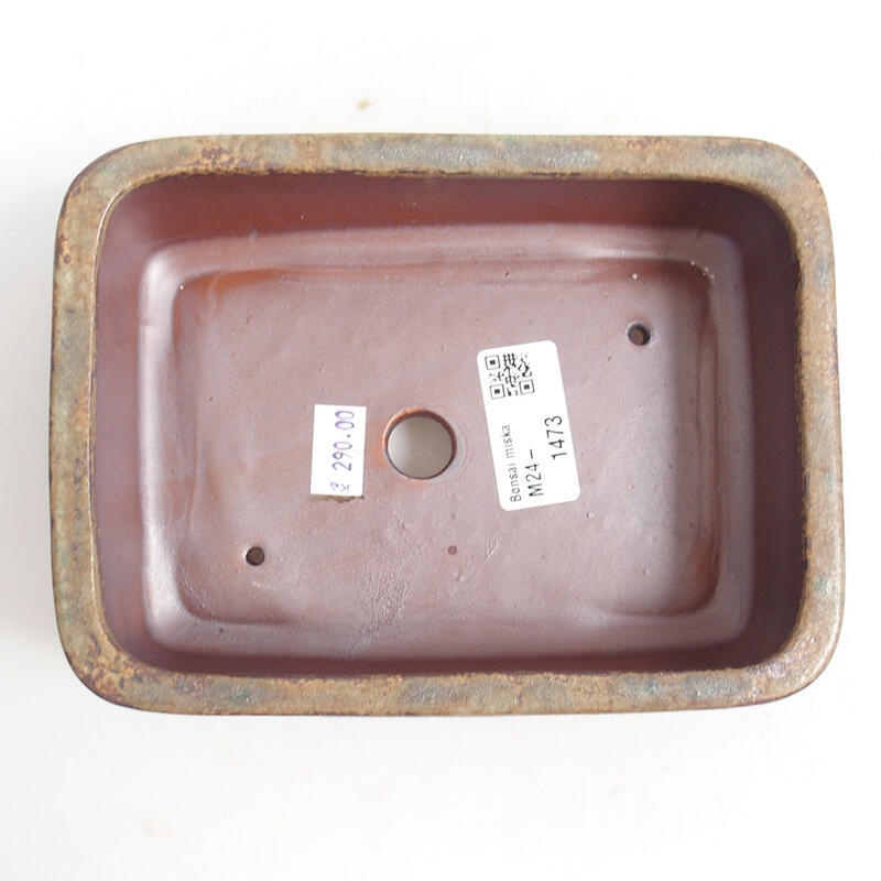 Ciotola bonsai in ceramica 16,5 x 12 x 5,5 cm, marrone