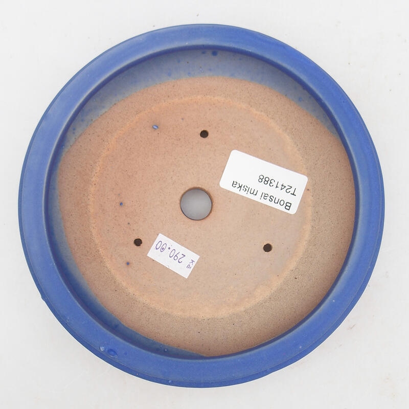 Ciotola bonsai in ceramica 16,5 x 16,5 x 4,5 cm, colore blu