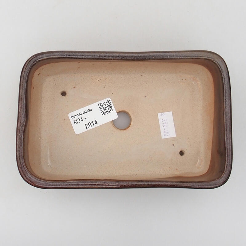 Ciotola per bonsai in ceramica 16 x 10 x 5 cm, marrone