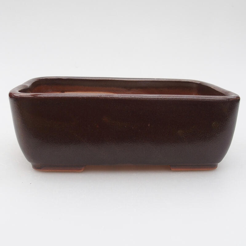 Ciotola per bonsai in ceramica 16 x 10 x 5 cm, marrone