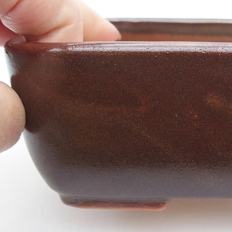 Ciotola per bonsai in ceramica 16 x 10 x 5 cm, marrone
