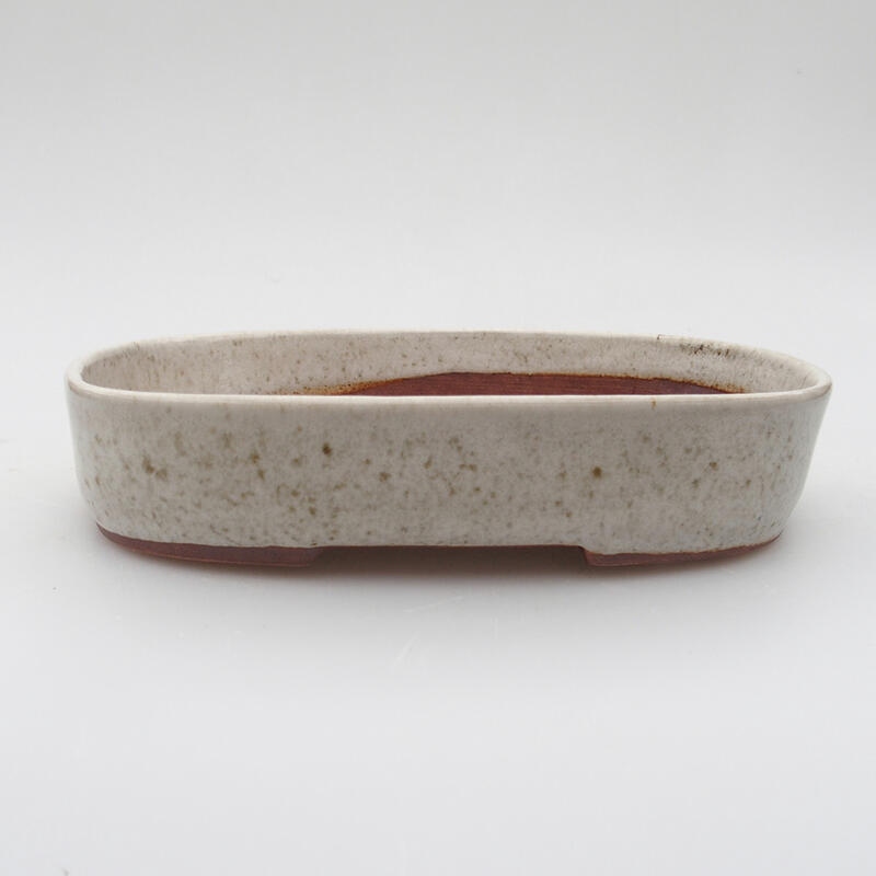 Ciotola bonsai in ceramica 16 x 11 x 3 cm, colore beige