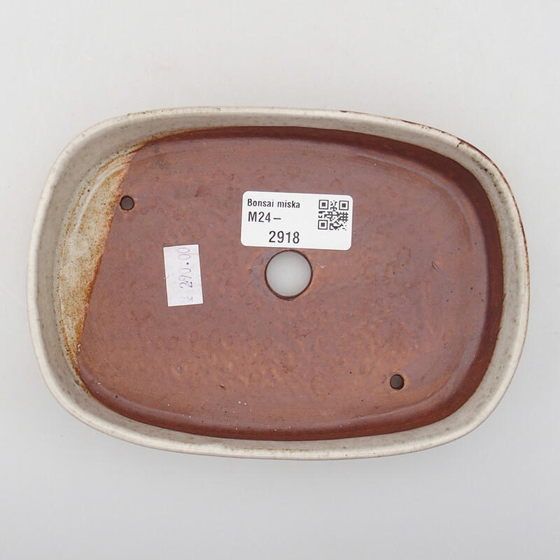 Ciotola bonsai in ceramica 16 x 11 x 3 cm, colore beige