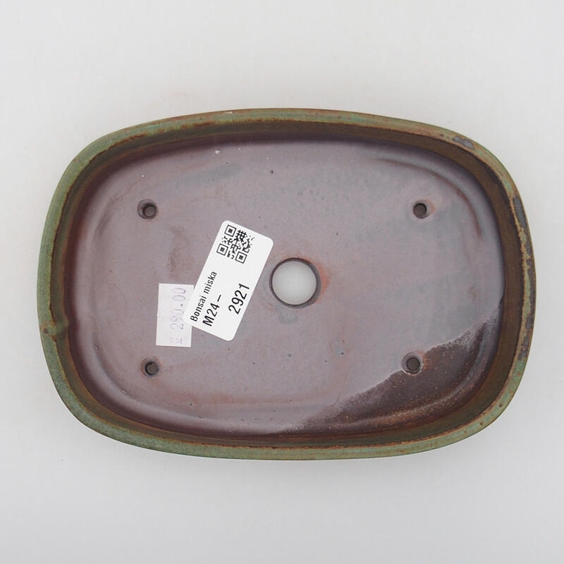 Ciotola bonsai in ceramica 16 x 11 x 3 cm, verde